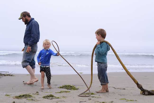 playing with bull kelp at the Oregon Coast // Wayward Spark