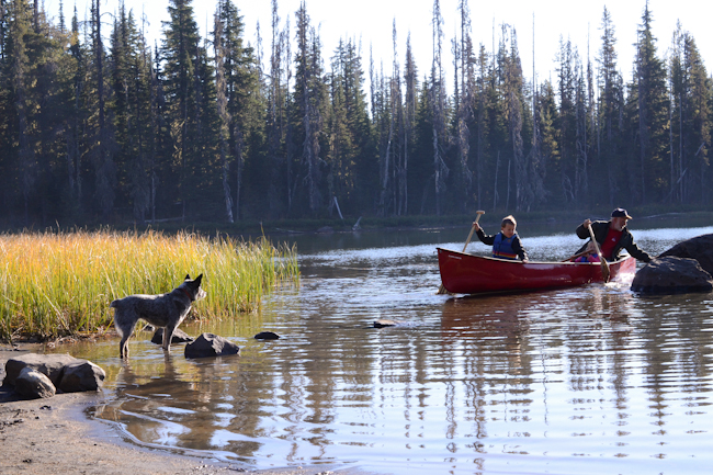 canoeing on Scott Lake // Wayward Spark