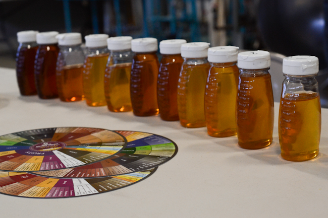 Old Blue Raw Honey tasting at the OSU Food Science lab // Waysard Spark